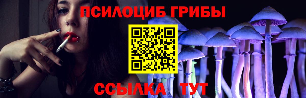Зеленогорск  даркнет сайт  Вход с VPN  Галлюциногенные грибы ЛСД 
